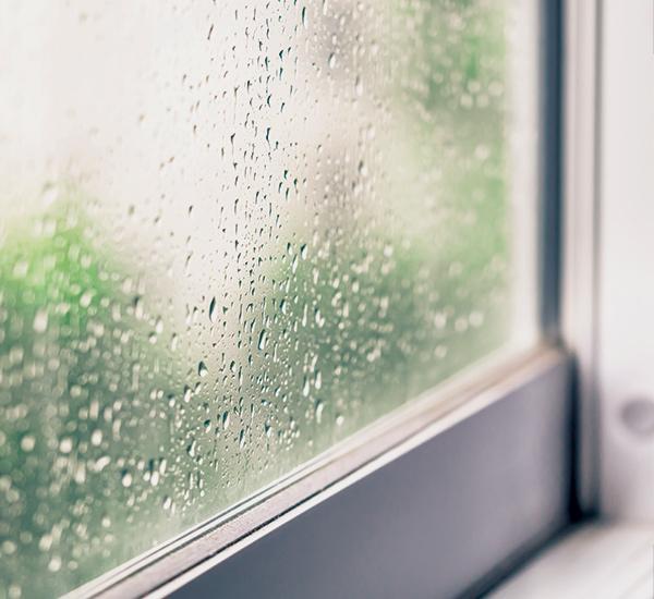 Did Your Windows Survive Winter? Here’s How to Tell windows_winter